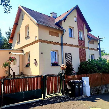 Ubytovani U Rybnicka Villa Arnoltice u Decina Eksteriør bilde