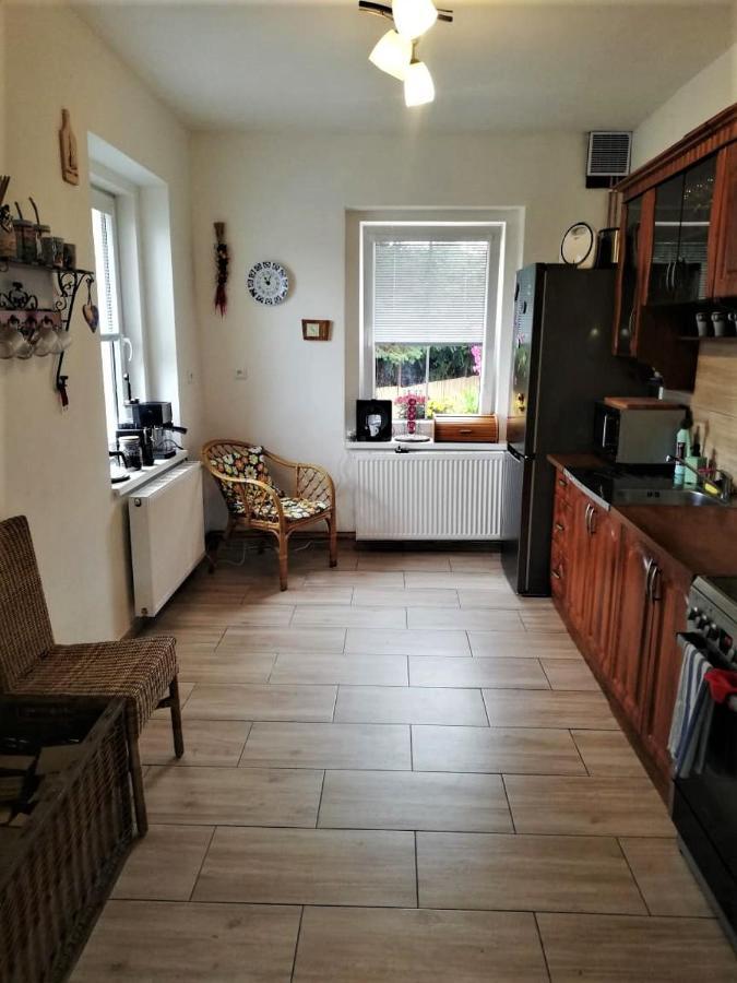 Ubytovani U Rybnicka Villa Arnoltice u Decina Eksteriør bilde