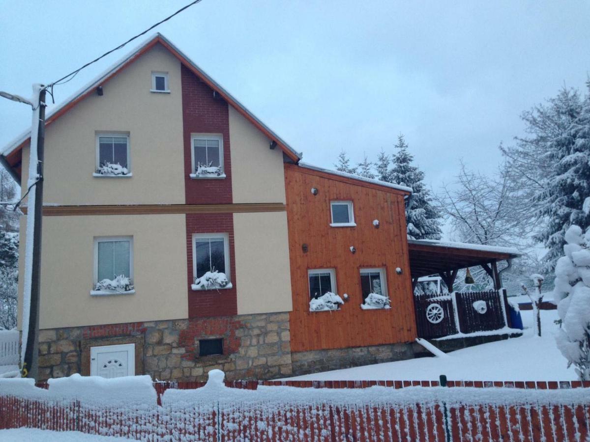 Ubytovani U Rybnicka Villa Arnoltice u Decina Eksteriør bilde