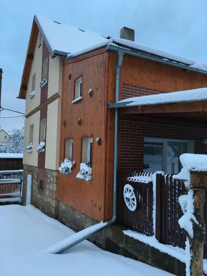Ubytovani U Rybnicka Villa Arnoltice u Decina Eksteriør bilde